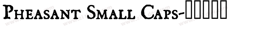 Pheasant Small Caps字体转换